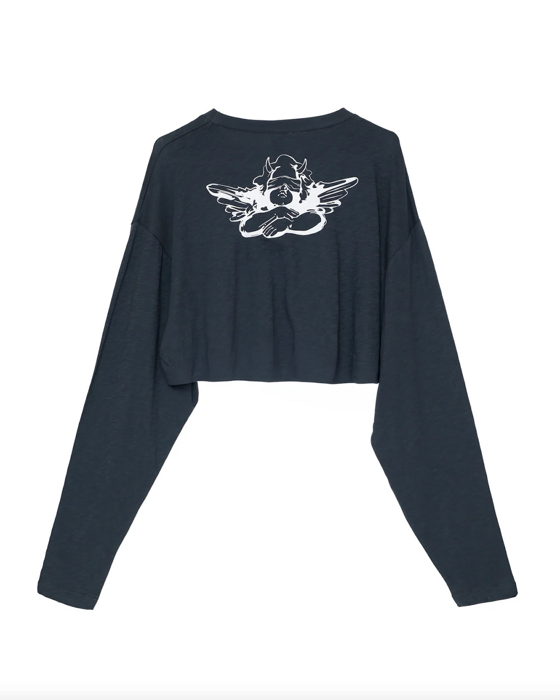 Read the Signs Cropped BF Longsleeve
